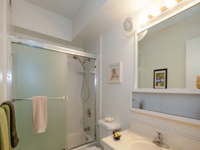Kohala Coast  Big Island Condo 896218